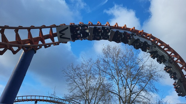 Retour en images : une journée à Walygator pour clôturer le projet d’octobre ! 🎢
